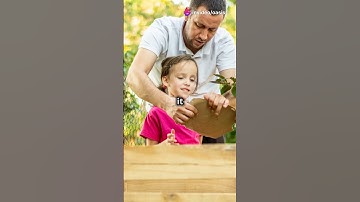 How to Use Biochar to Improve Soil Fertility Naturally 🌱