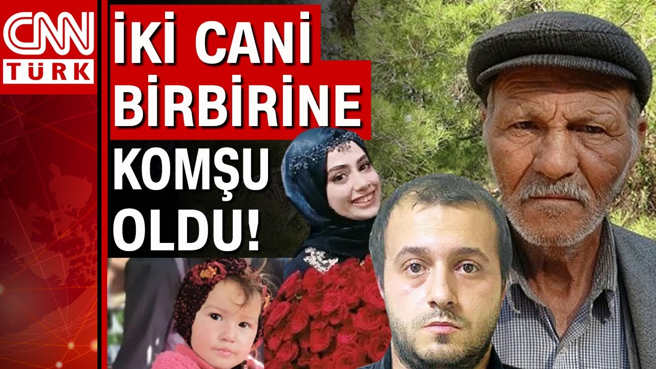 Yetuk onaning tukli mushuk surati Yetuk onaning tukli mushuk surati