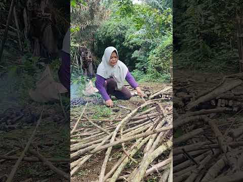 Ternyata Memotobg Kayupun Harus Belajar Dulu 