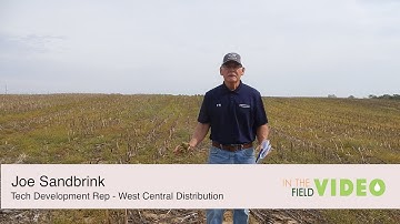 Planning an Effective Burndown & Post Weed Control Program