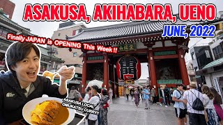 (Japan is Opening for Tourist This Week) Asakusa, Akihabara, Ueno, Retro Omurice Katsu Curry  Ep 350