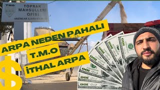 ARPA NEDEN BU KADAR PAHALI | T.M.O İTHAL ARPA ALDIM | ARPA EZMESİ