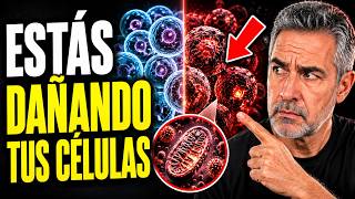 Lo que no sabías que le hace daño a tus células todos los días