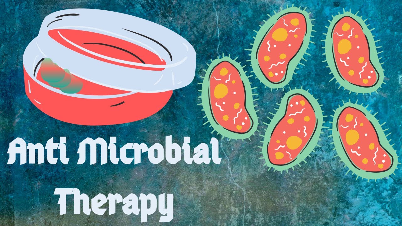 Antimicrobial Therapy, USMLE STEP 1 First Aid 2020 in Urdu/Hindi. - YouTube