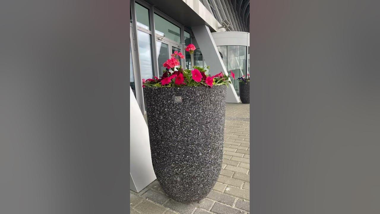 МинводыЭКСПО - YouTube