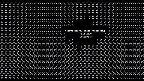 Neural Image Processing: Lecture 5 (Fall 2020)