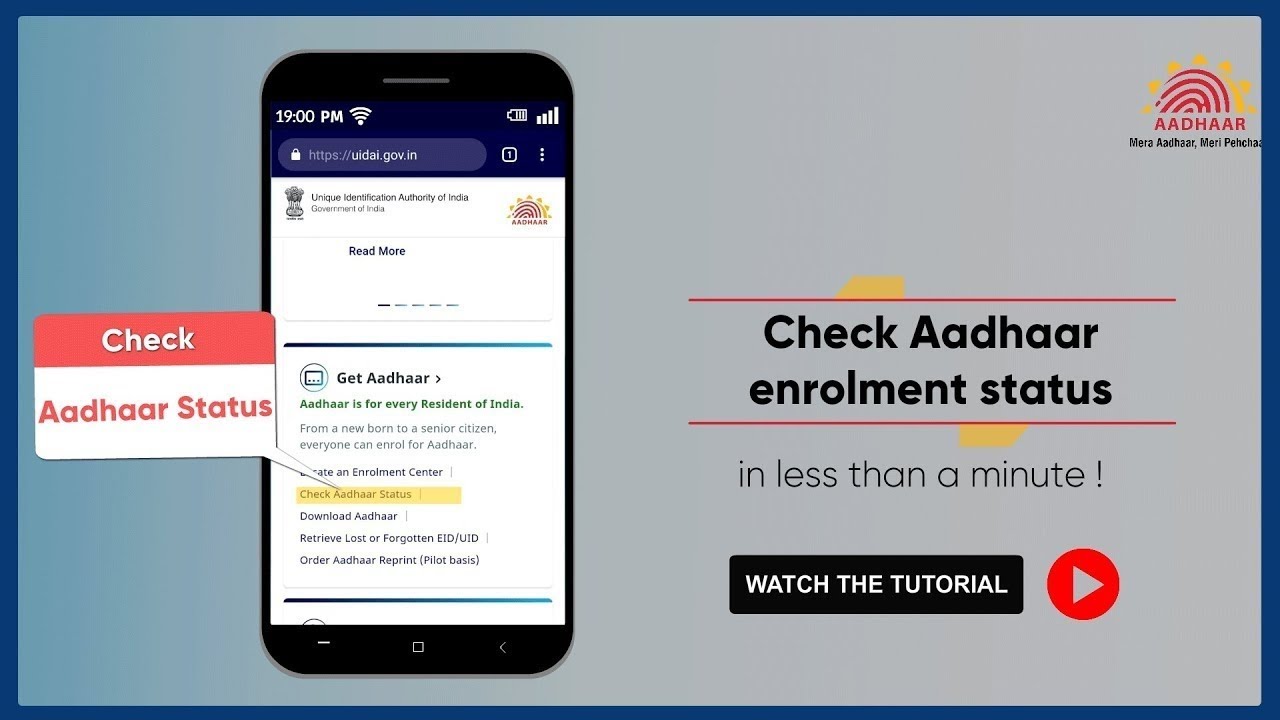 Status check. Gov/. Status check. Check status. Https://dvprogram.