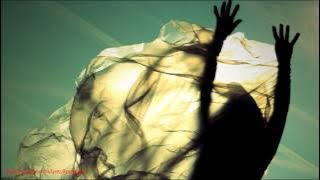 Dio S - The Last Song (Fiddler Remix)