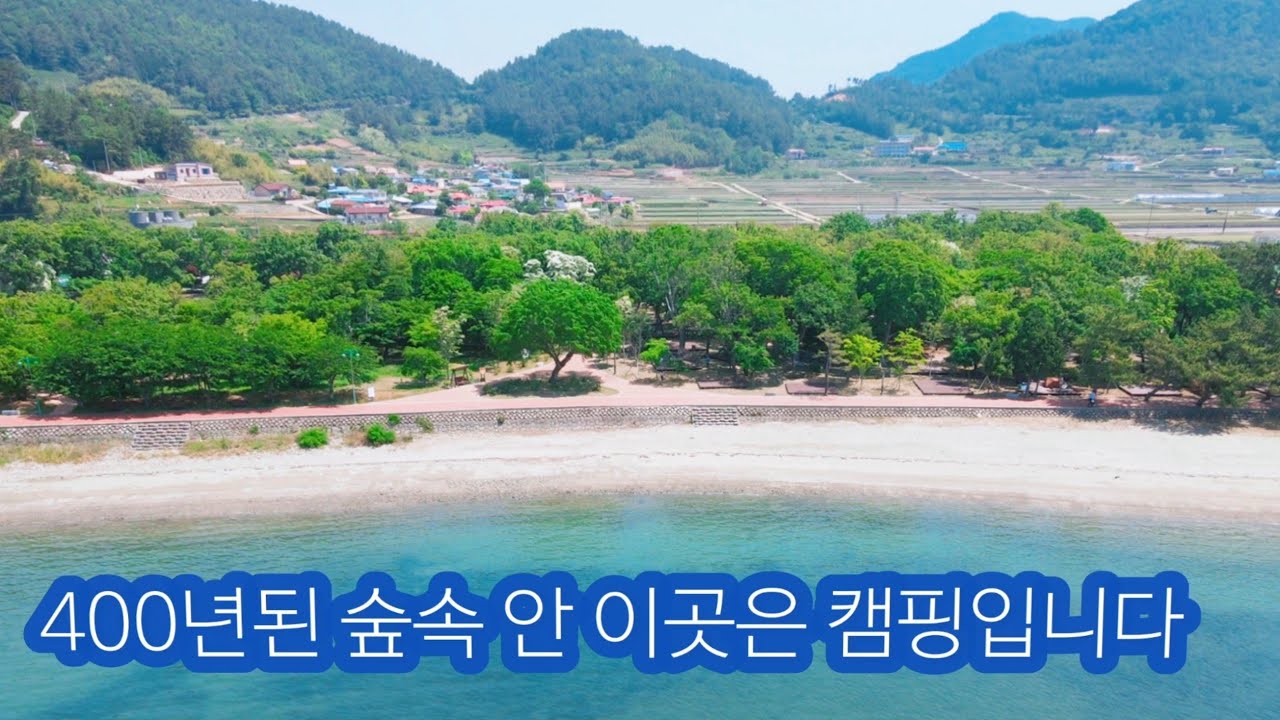 [신상 바다뷰 해변캠핑장] 숲,바다앞 캠핑장  사이트별,명당자리 소개/해변 해루질/ 솔로캠핑