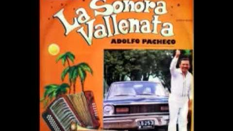 Bella Velluda Velludita - Sonora Vallenata
