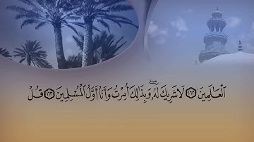 تلاوة من سورة الأنعام من الآية ١٢٣ الي نهاية السورة بصوت القارئ الشيخ محمد عبد الكريم
