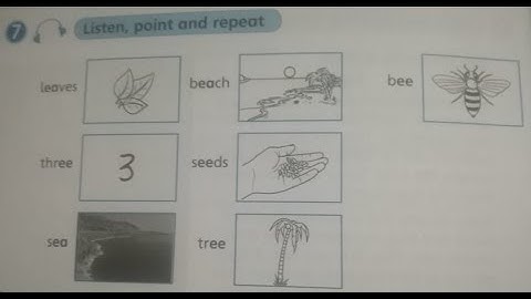 5th grade Activity Book Page 30 Unit 7 Exercise 7 Listen point and repeat