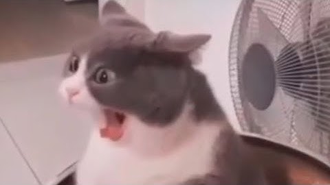 0:58 matrix comp late join (probably first sub 1 comp on mobile)