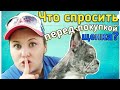 При покупке щенка ты обязан это узнать! Вопросы заводчику. Мокрый нос.