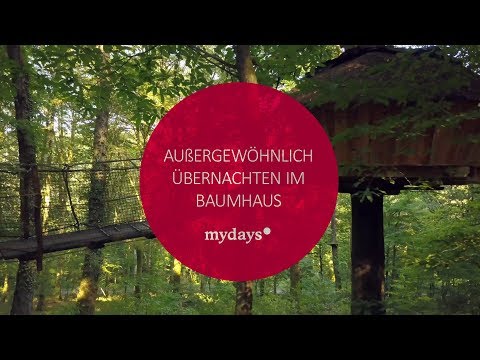 Baumhaus Übernachtung Guyonvelle | mydays.de