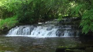 Forest Waterfall Nature Sounds - Relaxing Natural Water Flowing Sound - Calm Sleeping & Meditation