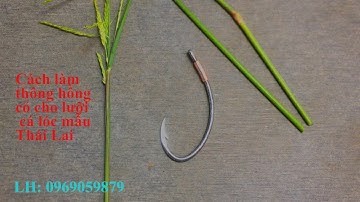 Cách luồn thông hồng cỏ, cho lưỡi câu cá lóc