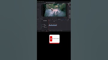 How to Freeze Frame in DaVinci Resolve #videoediting #davinciresolve #shorts