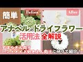 【全解説】アナベルを真っ白にする方法も!ドライフラワーを100倍楽しもう♪【ガーデニング】【園芸】