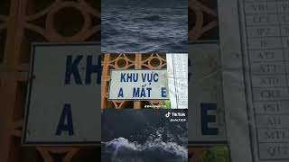 memes xh viral