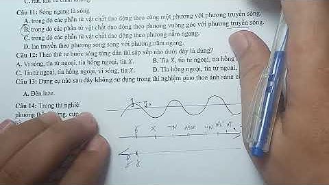 VẬT LÍ 11 - KIỂM TRA HỌC KÌ 1 - CẤU TRÚC MỚI - NĂM 2024 2025
