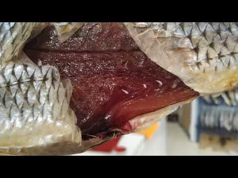 Кутум кутумыч в Кизилюрте