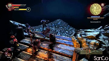 The Witcher 2: Iorveth