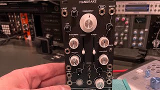 Noise Engineering Sinc Bucina ユーロラック Noise Engineering Sinc Bucina - Eurorack Module on ModularGrid