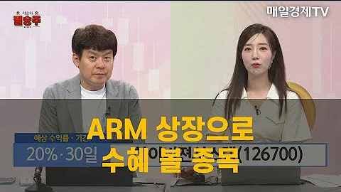 시초가 필승주 내일 장 시초가에 노려볼 가온칩스 하이비젼시스템 김민수 레몬리서치 대표