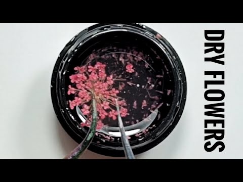 share GEL with DRY FLOWERS