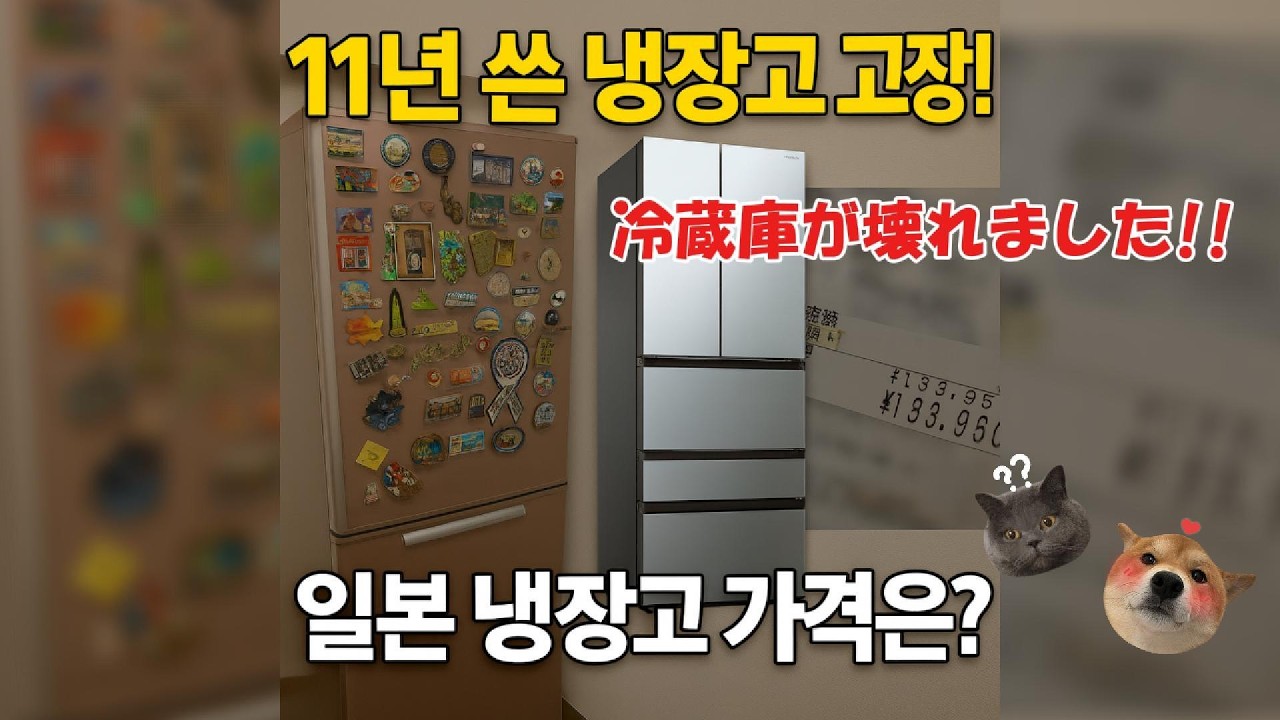 11년쓰던 냉장고가 갑자기 고장났어요 ….일본에서 냉장고 얼마에 살수 있을까? 