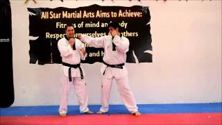 Practical TKD Low Block