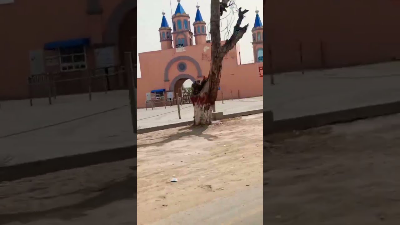  Pleasure Land RYK KFUEIT