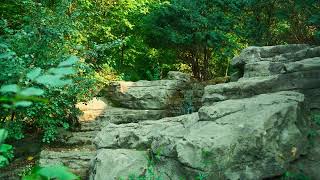 Discover Wauwatosa Outdoor Adventures