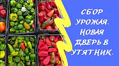 ДЕРЕВНЯ_57. Жизнь в Деревне.