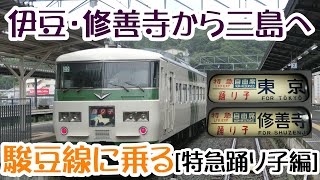 伊豆箱根鉄道駿豆線【特急踊り子編】　伊豆半島中央を縦断する、ローカル私鉄に乗ってきた