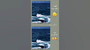 🕌 خشعت الأصوات للرحمن.. تلاوة خاشعة بصوت الشيخ #ياسر_الدوسري ✨ #قرآن_كريم #quran