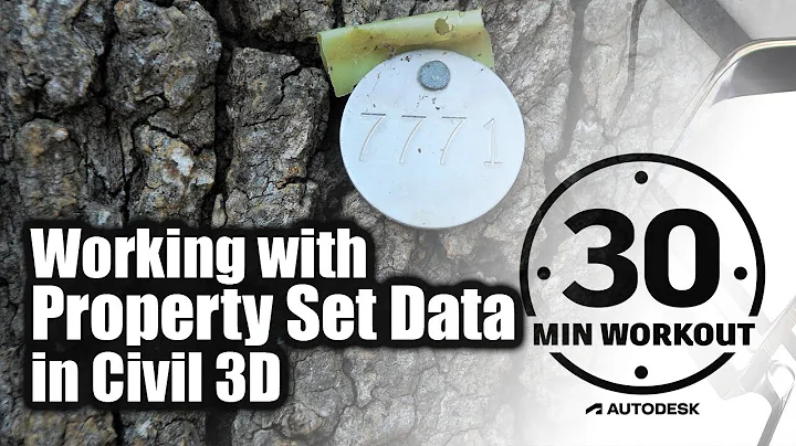 Working with Property Set Data in Civil 3D