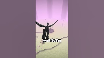 Minecraft Morph Mod 😂💀