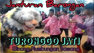 Singo Jalmo labas Janturan || Kuda Kepang TURONGGO JATI Winong Plumbungan Bawang