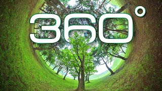 360° Video, Nature Sounds of Forest for Relaxing | 8K VR video