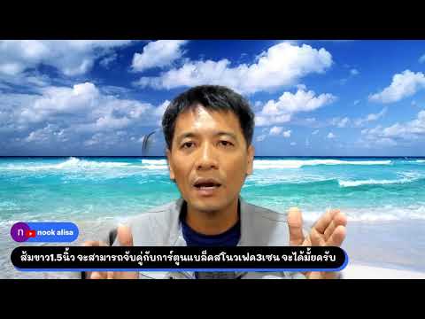 การเลี้ยงปลาทะเล(ปลาการ์ตูน)เบื้องต้น ใช้อุปกรณ์อะไรบ้าง