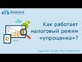 Как работает налоговый режим «упрощенка». asistent.kz