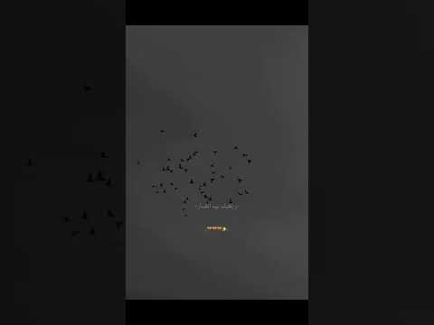 درـب الحـبـيب بـعيـد مابـيه حيـله 