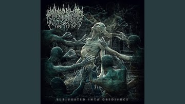 Incoherence of Perception