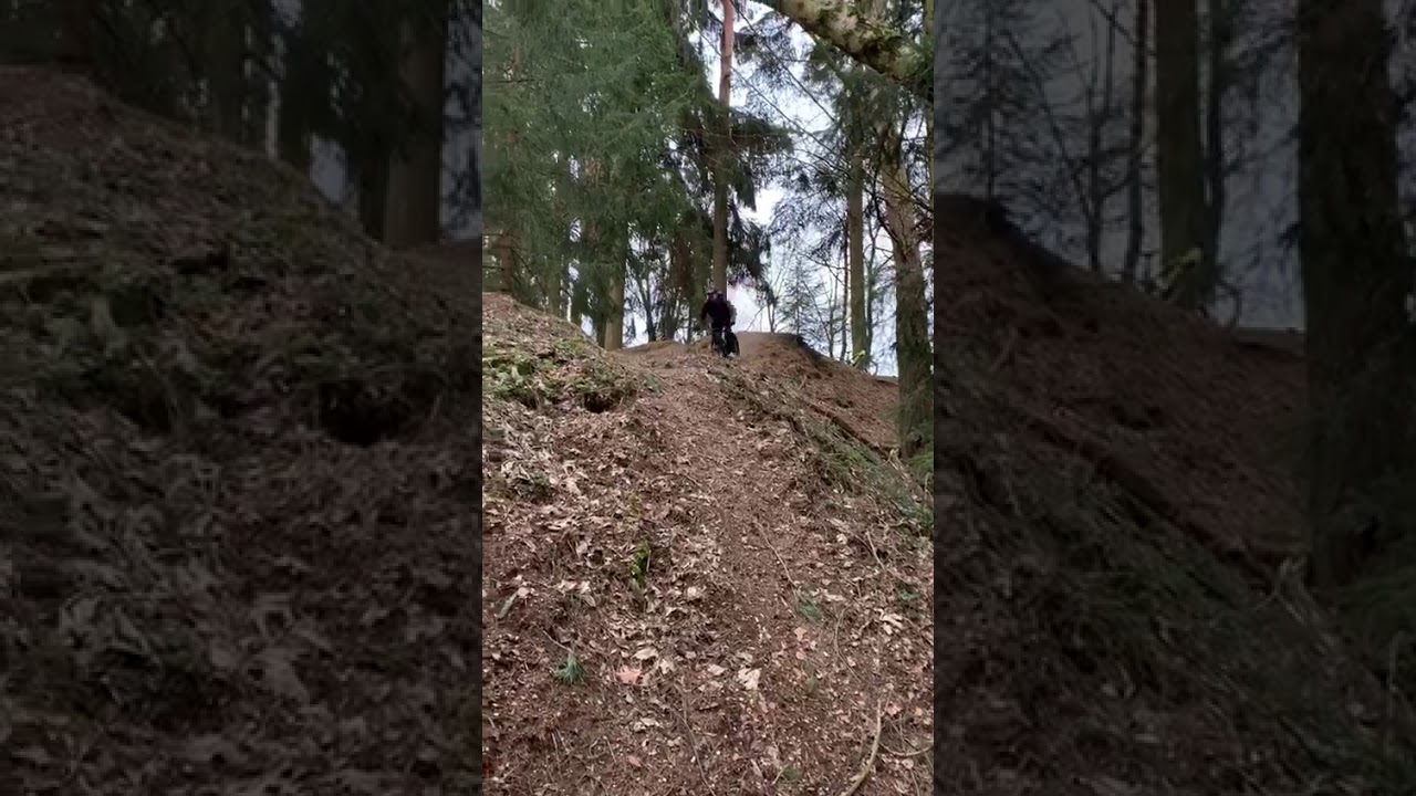 first ride&steps with the new YT capra 2020 comp