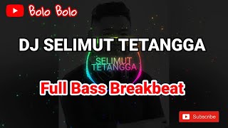 DJ SELIMUT TETANGGA | BREAKBEAT | VIRAL TIKTOK