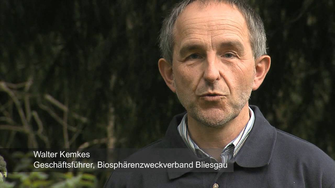 Orchideenland und savoir-vivre   Kurzfassung