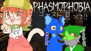 【Vtuber ぬめゲコらいふ】コラボ  ゴースト、見ぃつけた！〔Phasmophobia〕