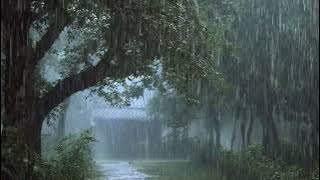 Slow Down Your Mind with Gentle Rain | 8 Hours Rain Sounds for Deep Sleep